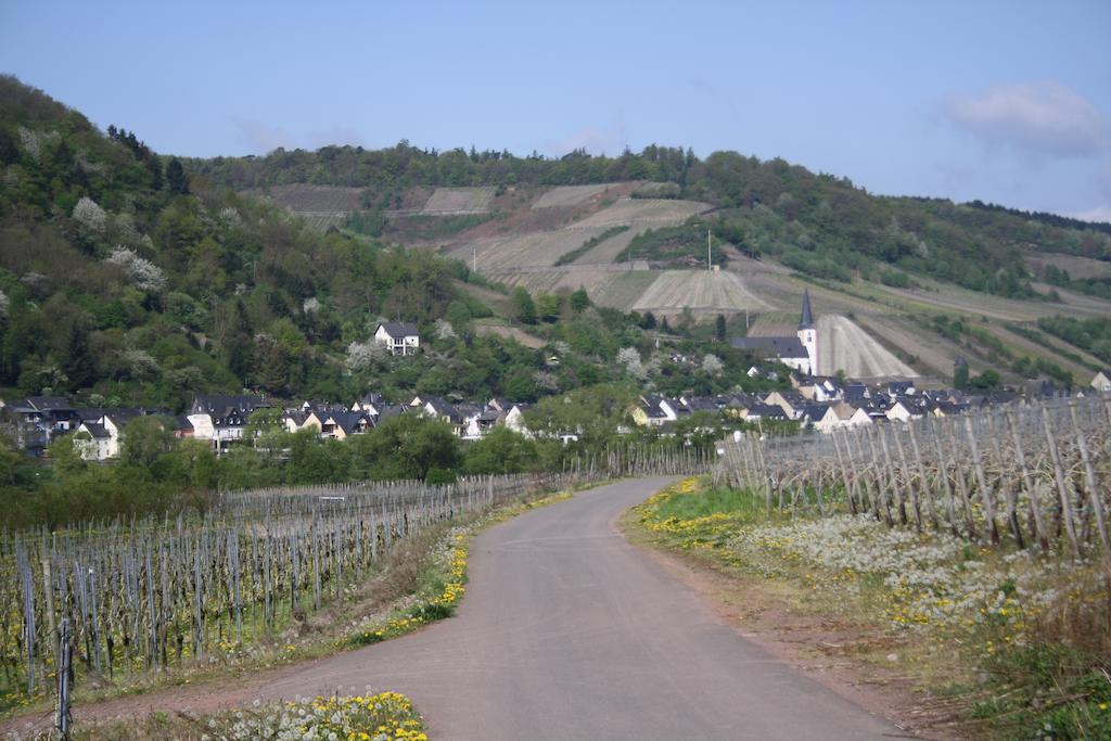 Hotel Weingut Goeres à Briedel Extérieur photo