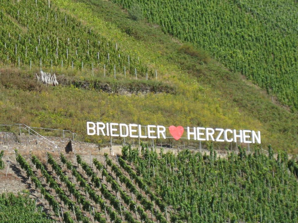 Hotel Weingut Goeres à Briedel Chambre photo