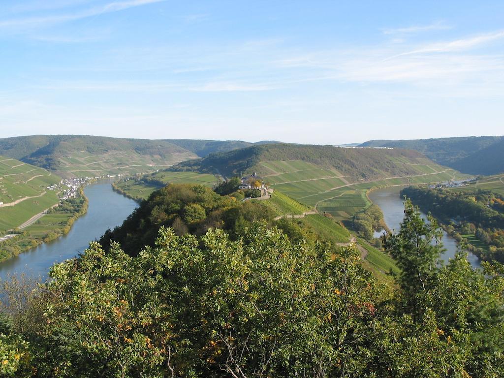 Hotel Weingut Goeres à Briedel Extérieur photo